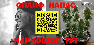 дмт Кунгур