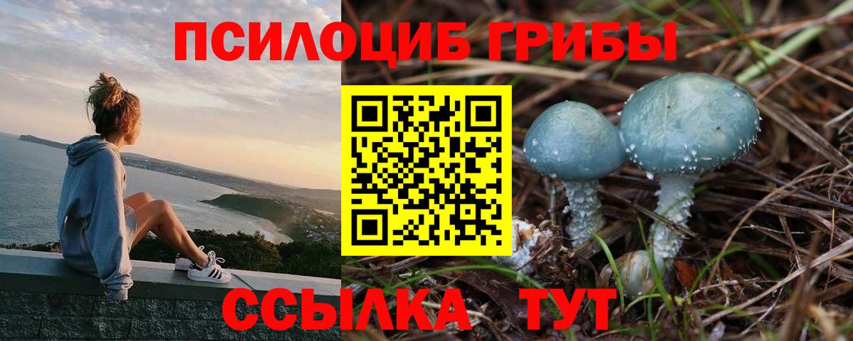 Санкт-Петербург  Псилоцибиновые грибы Psilocybine cubensis  Вход с VPN  Псилоцибиновые грибы мицелий 